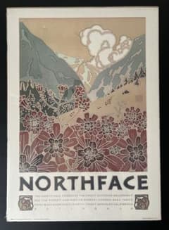 ザノースフェイス ヴィンテージポスター DAVID LANCE GOINEG m33280424683_1.jpg?1732524454