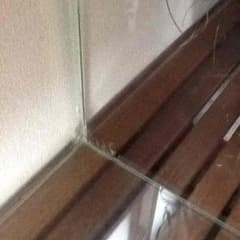 ADA水槽(90×45×45)のサムネイル