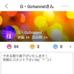 G・Gchannelさま専用ページのサムネイル