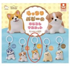 もっちりパピーのめじるしマスコット コーギー ガチャのサムネイル