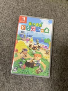 バグ様専用 あつまれ どうぶつの森のサムネイル
