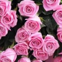 sorachan様へのサムネイル