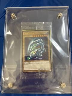 遊戯王 青眼の白龍　秘蔵レア　世界に300枚のサムネイル