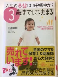 人生の基盤は妊娠中から3歳までに決まる : 人生でいちばん大切な3歳までの育て方のサムネイル