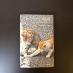 ねこサプリ 相棒 人によく効くNEKO-PHOTO 175のサムネイル
