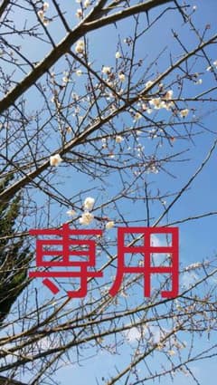yumama☆専用のサムネイル