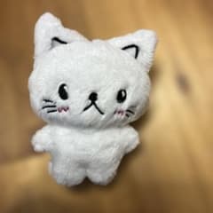 nct dream ロンジュン 40cm ぬいぐるみ ロンジュン ぬいぐるみ nct dream マスター - メルカリ