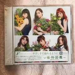 Flower やさしさで溢れるようにのサムネイル