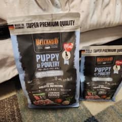 値下げ中Belcando PUPPY GF POULTRY ミニのサムネイル