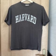 HARVARD カレッジロゴ Tシャツ　Ｍ　アーバンリサーチのサムネイル
