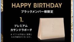 イブサンローラン コスメポーチ プレゼント用ボックスと紙袋付きのサムネイル
