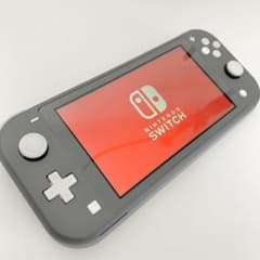 Nintendo Switch lite グレー　sd付きのサムネイル