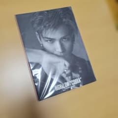 岩田剛典 写真集 HiGH&LOW THE PHOTOGRAPHY COBRAのサムネイル