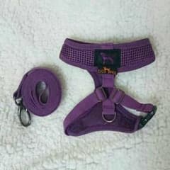 SR様専用   未使用☆お散歩  ハーネス  首輪のサムネイル