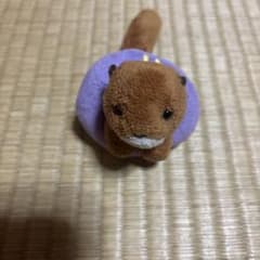 カワウソ ぬいぐるみ キーホルダー 紫の浮き輪付きのサムネイル