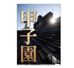 【新品】阪神甲子園球場 カレンダー 2027年版（壁掛け）のサムネイル