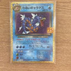 わるいギャラドスのサムネイル