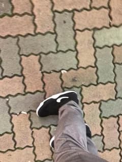 ナイキ フライトのサムネイル