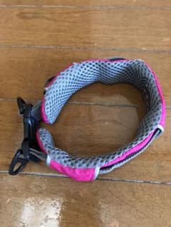 ドッグコペンハーゲン　中型犬用首輪（カラー）のサムネイル