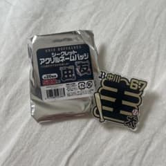 中川圭太　バッジのサムネイル