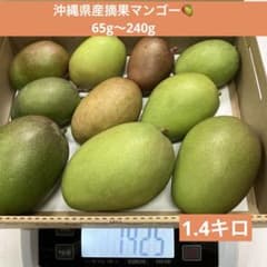沖縄県産摘果マンゴーグリーンマンゴー青マンゴー／67 - メルカリ