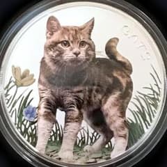 2022年 フィジー 猫シリーズ カラー版 庭で遊ぶ猫 1オンス銀貨 純銀 銀貨】庭猫 フィジー2022年 1オンス カラー版【猫銀貨 純銀 新品