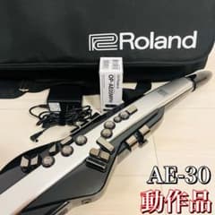 [동작품]Roland 에어로폰 프로 AE-30 전자 악기