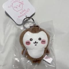 치이카와 파크 딱정벌레 미니 마스코트 키링 2