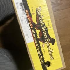 Red Wing Irish Setter Sport Boot 9866のサムネイル