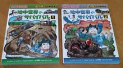 地中世界のサバイバルのサムネイル