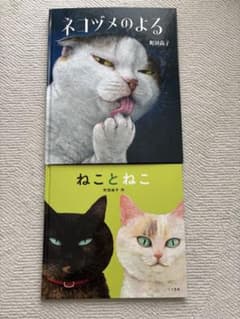 まろ★様専用 ネコヅメのよる & ねことねこ 2冊セットのサムネイル