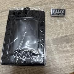 ALD1 入会特典 ALLYZ JAPAN トレカケース ピンバッジセットのサムネイル