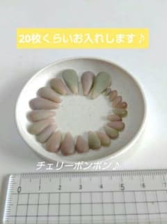 多肉植物☆チェリーボンボン葉挿し 20枚くらい♪のサムネイル