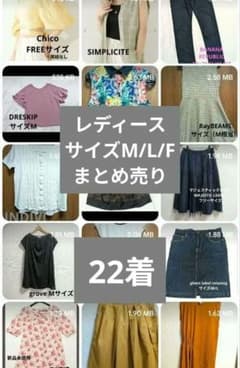 レディース服 まとめ売り 29着セット Mサイズ Lサイズ フリーサイズ