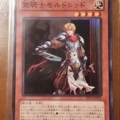 聖騎士 モルドレッドのサムネイル