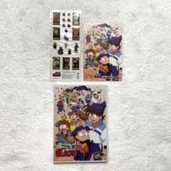 m33366155589_1.jpg?1726246734