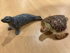 はしもとみお　江ノ島水族館　ガチャガチャのサムネイル