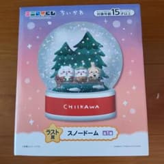 치이카와 스노우 돔