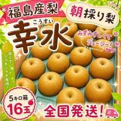 福島産梨 幸水5キロ箱16玉 家庭用のサムネイル