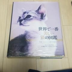 世界で一番美しい猫の図鑑のサムネイル