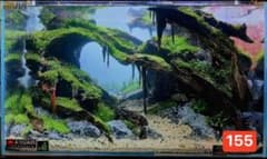 サンプル製品画像のセット。爬虫類ゲージ　。流木。水生植物。　流木 アクアリウム m33378791608_1.jpg?1718720831