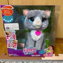 ファーリアル　ブーツィーのサムネイル
