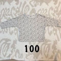 レオパードロンT 100のサムネイル