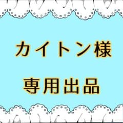 カイトン様 専用出品のサムネイル