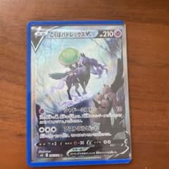 こくばバドレックスv saのサムネイル