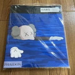 KAWS アートブック 作品集 PHAIDON社製のサムネイル