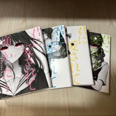 「君に愛されて痛かった 」 4巻セットのサムネイル