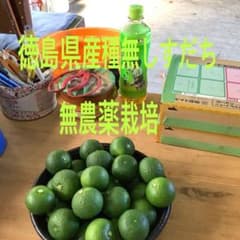 徳島県産 ‼️種無しすだち一太郎 2L朝収穫発送 - メルカリ