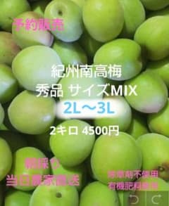 紀州南高梅秀品 サイズ2L～3LMIX 2キロ4500円のサムネイル