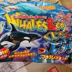 くじら&co 　ビッグ　ザトウクジラのサムネイル